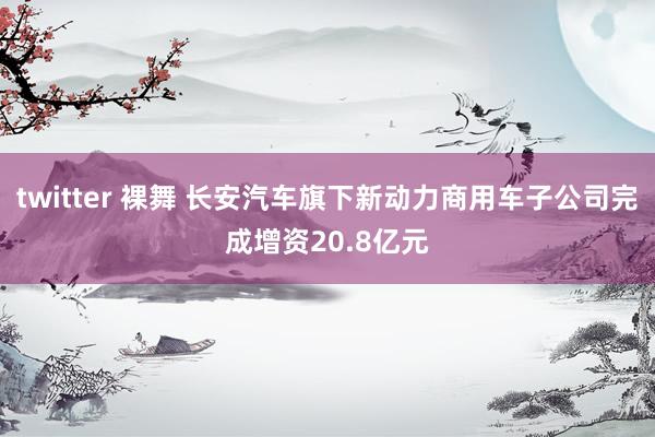twitter 裸舞 长安汽车旗下新动力商用车子公司完成增资20.8亿元