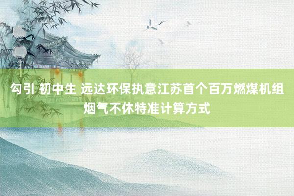 勾引 初中生 远达环保执意江苏首个百万燃煤机组烟气不休特准计算方式