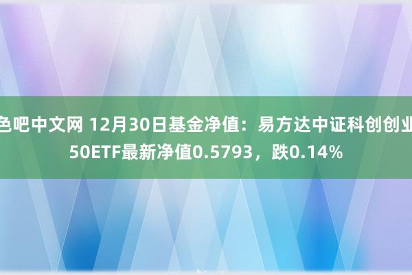 色吧中文网 12月30日基金净值：易方达中证科创创业50ETF最新净值0.5793，跌0.14%