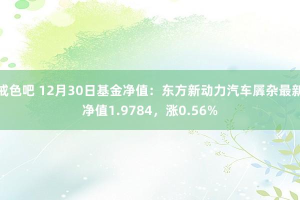 戒色吧 12月30日基金净值：东方新动力汽车羼杂最新净值1.9784，涨0.56%