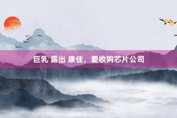 巨乳 露出 康佳，要收购芯片公司