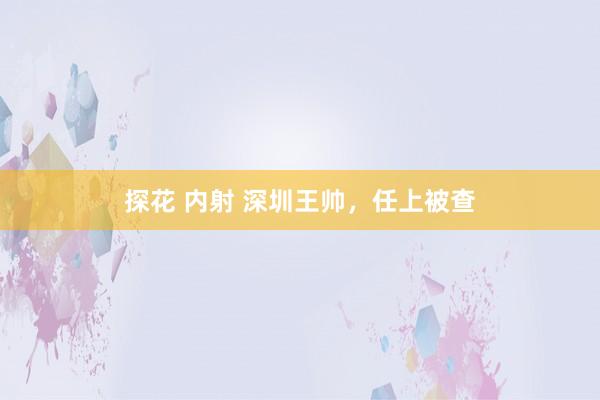 探花 内射 深圳王帅，任上被查