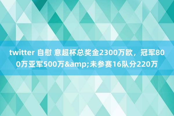 twitter 自慰 意超杯总奖金2300万欧，冠军800万亚军500万&未参赛16队分220万