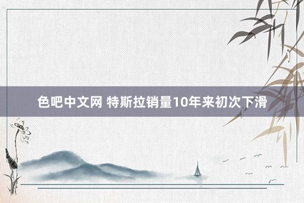 色吧中文网 特斯拉销量10年来初次下滑