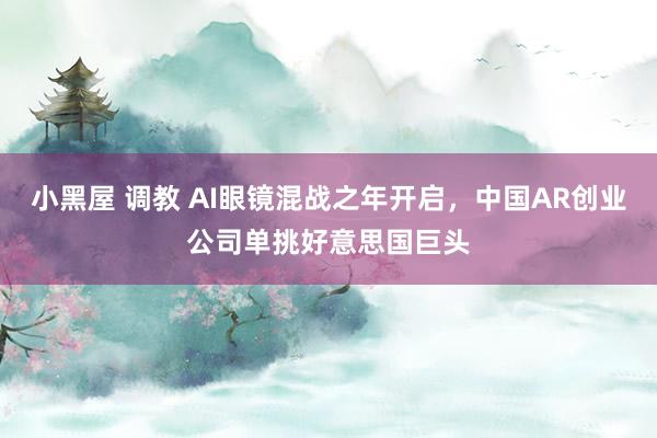 小黑屋 调教 AI眼镜混战之年开启，中国AR创业公司单挑好意思国巨头
