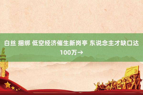 白丝 捆绑 低空经济催生新岗亭 东说念主才缺口达100万→