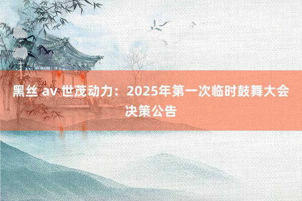 黑丝 av 世茂动力：2025年第一次临时鼓舞大会决策公告