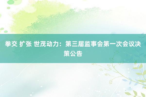 拳交 扩张 世茂动力：第三届监事会第一次会议决策公告