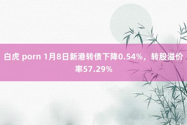 白虎 porn 1月8日新港转债下降0.54%，转股溢价率57.29%