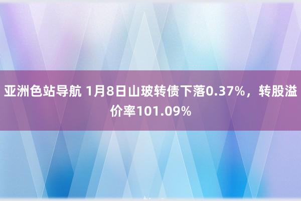亚洲色站导航 1月8日山玻转债下落0.37%，转股溢价率101.09%