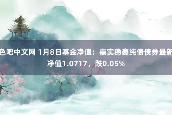 色吧中文网 1月8日基金净值：嘉实稳鑫纯债债券最新净值1.0717，跌0.05%