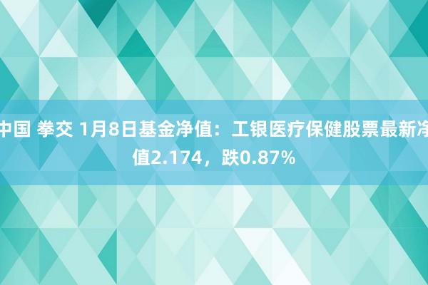 中国 拳交 1月8日基金净值：工银医疗保健股票最新净值2.174，跌0.87%