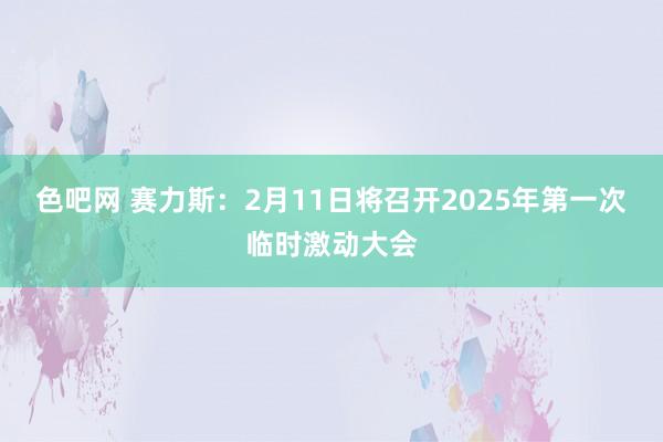 色吧网 赛力斯：2月11日将召开2025年第一次临时激动大会