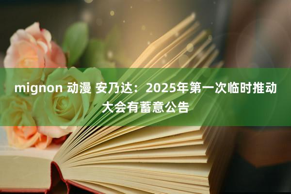 mignon 动漫 安乃达：2025年第一次临时推动大会有蓄意公告