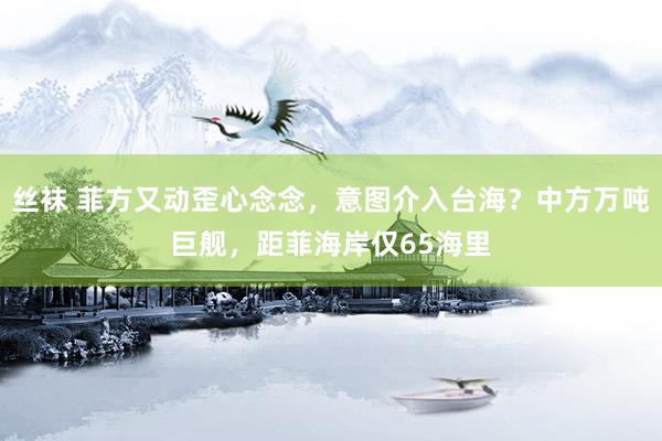 丝袜 菲方又动歪心念念，意图介入台海？中方万吨巨舰，距菲海岸仅65海里