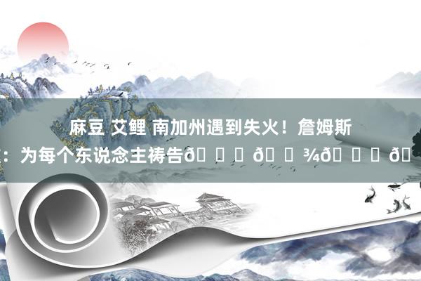 麻豆 艾鲤 南加州遇到失火！詹姆斯发推：为每个东说念主祷告🙏🏾🙏🏾