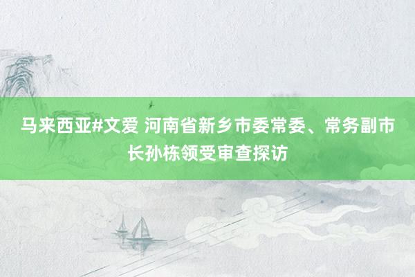 马来西亚#文爱 河南省新乡市委常委、常务副市长孙栋领受审查探访