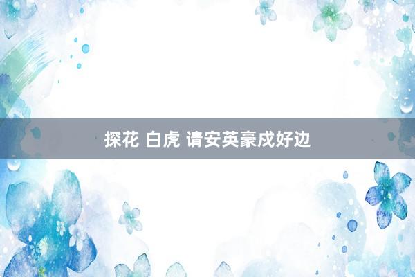 探花 白虎 请安英豪戍好边