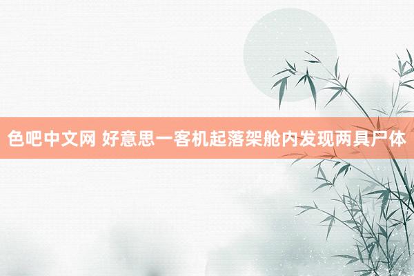 色吧中文网 好意思一客机起落架舱内发现两具尸体