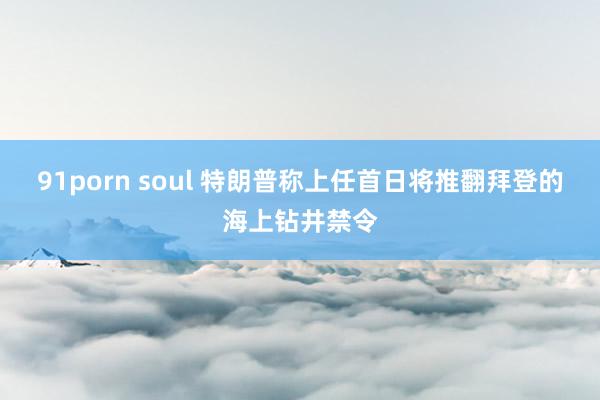 91porn soul 特朗普称上任首日将推翻拜登的海上钻井禁令