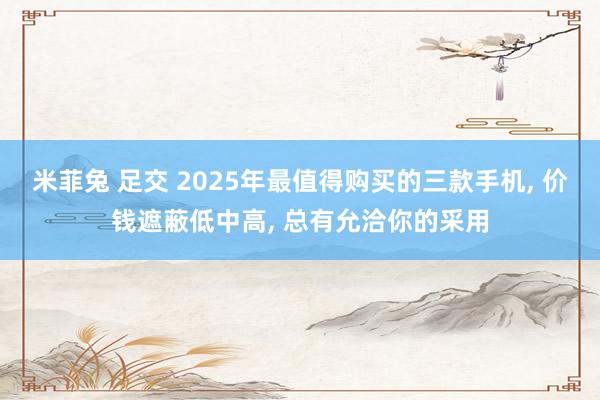 米菲兔 足交 2025年最值得购买的三款手机， 价钱遮蔽低中高， 总有允洽你的采用