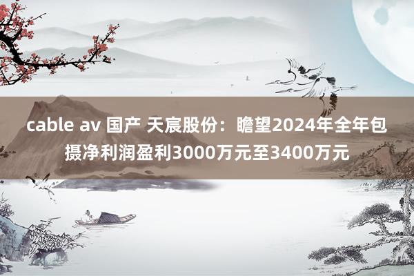 cable av 国产 天宸股份：瞻望2024年全年包摄净利润盈利3000万元至3400万元
