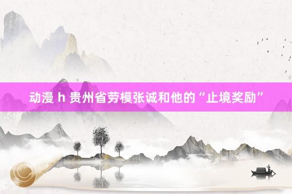 动漫 h 贵州省劳模张诚和他的“止境奖励”