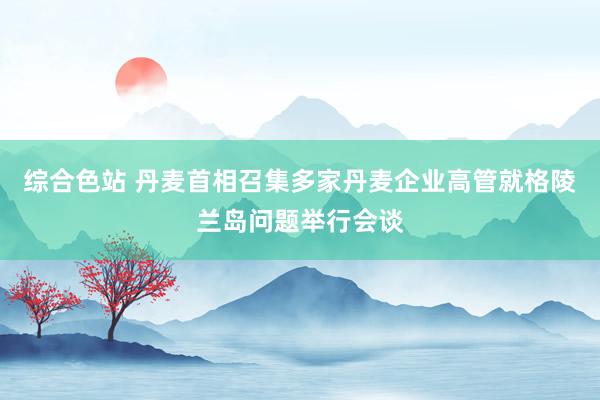 综合色站 丹麦首相召集多家丹麦企业高管就格陵兰岛问题举行会谈