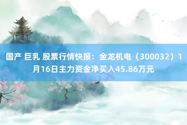 国产 巨乳 股票行情快报：金龙机电（300032）1月16日主力资金净买入45.86万元