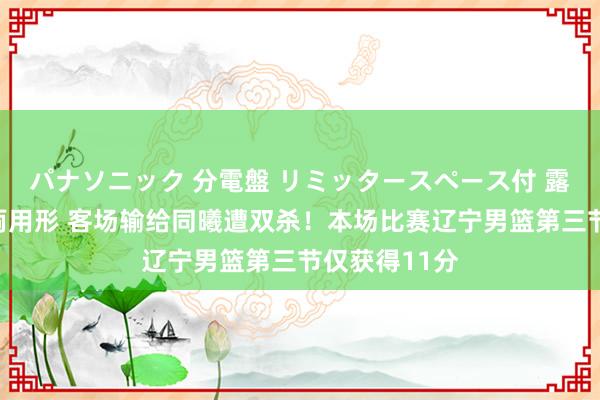 パナソニック 分電盤 リミッタースペース付 露出・半埋込両用形 客场输给同曦遭双杀！本场比赛辽宁男篮第三节仅获得11分