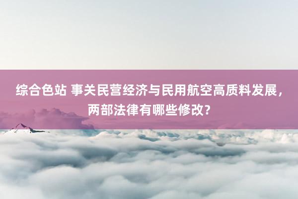 综合色站 事关民营经济与民用航空高质料发展，两部法律有哪些修改？