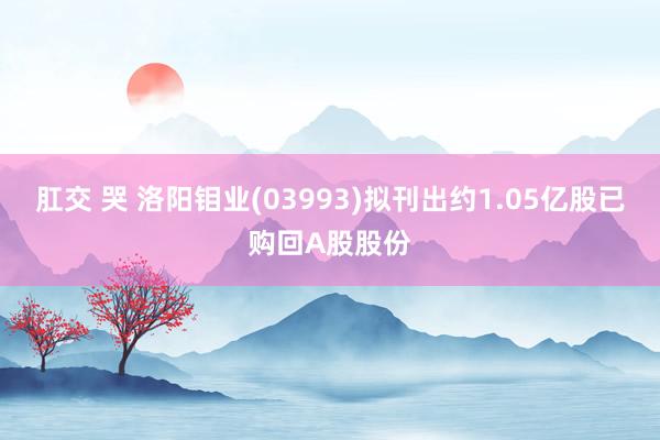 肛交 哭 洛阳钼业(03993)拟刊出约1.05亿股已购回A股股份