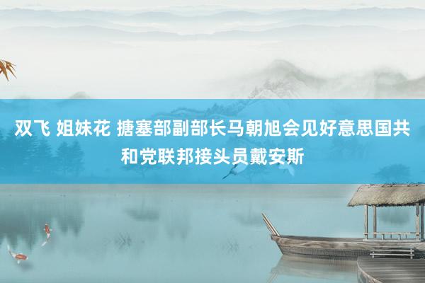 双飞 姐妹花 搪塞部副部长马朝旭会见好意思国共和党联邦接头员戴安斯