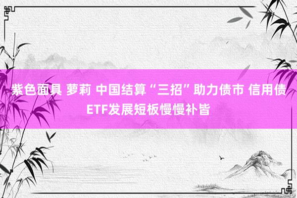 紫色面具 萝莉 中国结算“三招”助力债市 信用债ETF发展短板慢慢补皆