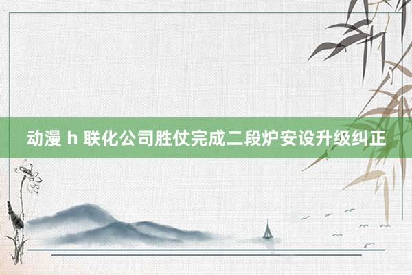 动漫 h 联化公司胜仗完成二段炉安设升级纠正