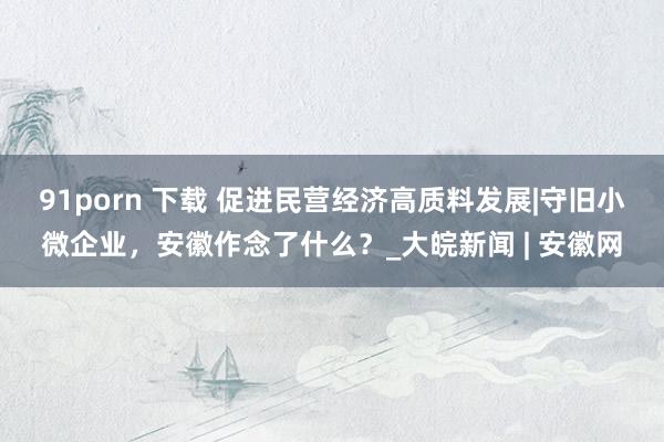 91porn 下载 促进民营经济高质料发展|守旧小微企业，安徽作念了什么？_大皖新闻 | 安徽网