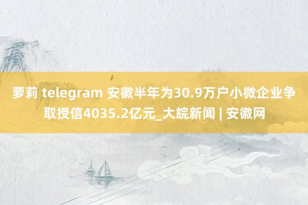 萝莉 telegram 安徽半年为30.9万户小微企业争取授信4035.2亿元_大皖新闻 | 安徽网