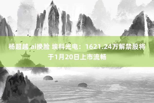 杨超越 ai换脸 埃科光电：1621.24万解禁股将于1月20日上市流畅
