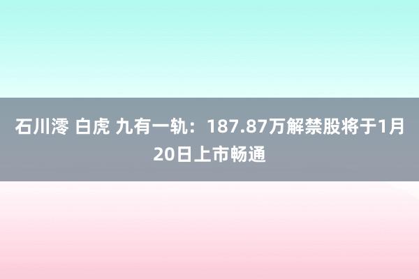 石川澪 白虎 九有一轨：187.87万解禁股将于1月20日上市畅通