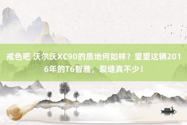 戒色吧 沃尔沃XC90的质地何如样？望望这辆2016年的T6智雅，裂缝真不少！