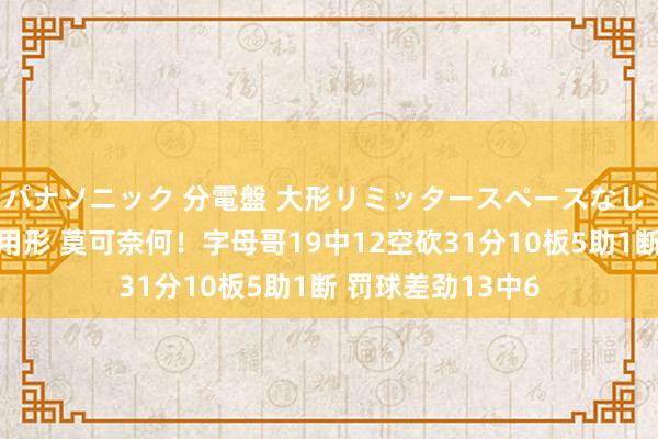 パナソニック 分電盤 大形リミッタースペースなし 露出・半埋込両用形 莫可奈何！字母哥19中12空砍31分10板5助1断 罚球差劲13中6