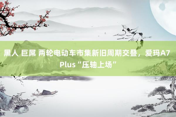 黑人 巨屌 两轮电动车市集新旧周期交叠，爱玛A7 Plus“压轴上场”