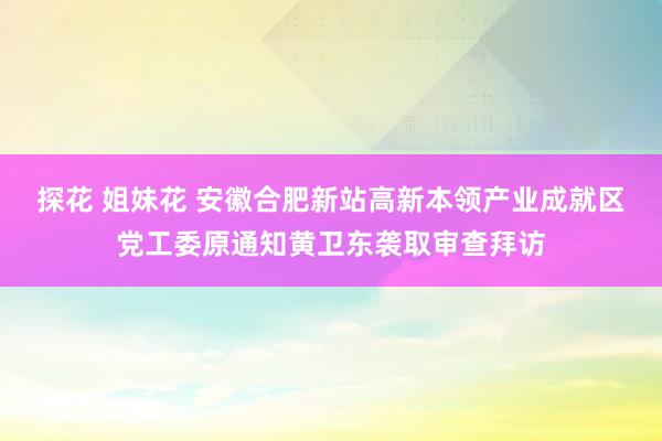 探花 姐妹花 安徽合肥新站高新本领产业成就区党工委原通知黄卫东袭取审查拜访