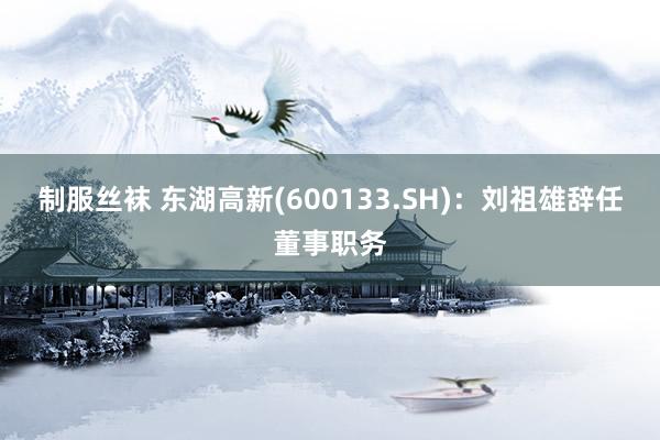 制服丝袜 东湖高新(600133.SH)：刘祖雄辞任董事职务