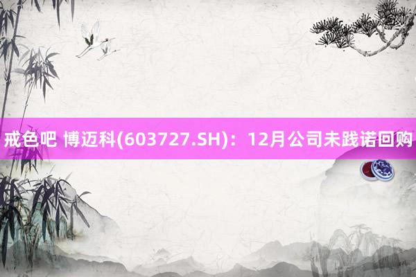 戒色吧 博迈科(603727.SH)：12月公司未践诺回购