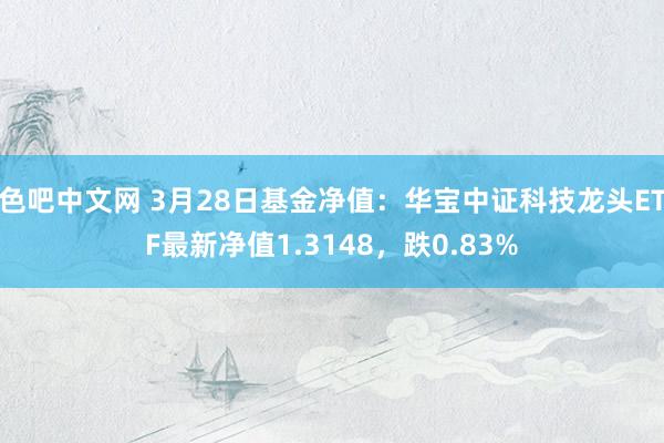 色吧中文网 3月28日基金净值：华宝中证科技龙头ETF最新净值1.3148，跌0.83%