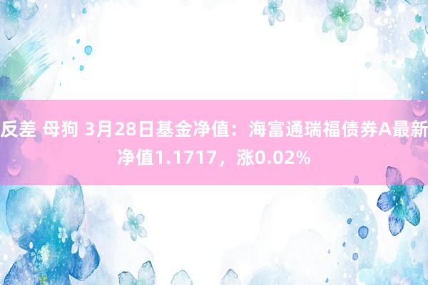 反差 母狗 3月28日基金净值：海富通瑞福债券A最新净值1.1717，涨0.02%
