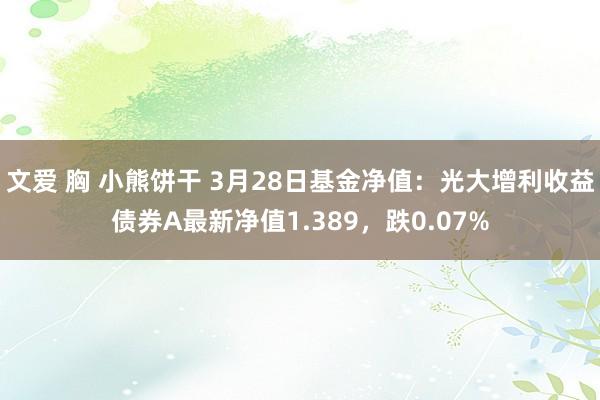 文爱 胸 小熊饼干 3月28日基金净值：光大增利收益债券A最新净值1.389，跌0.07%