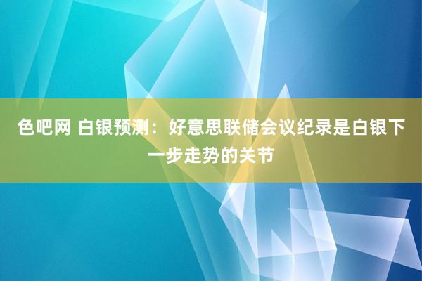 色吧网 白银预测：好意思联储会议纪录是白银下一步走势的关节
