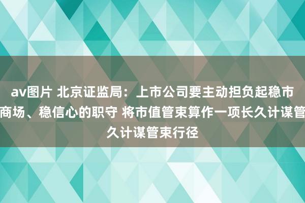 av图片 北京证监局：上市公司要主动担负起稳市值、稳商场、稳信心的职守 将市值管束算作一项长久计谋管束行径